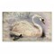 Stupell Industries French Swan Vintage Motif Printed Outdoor Door Mat, design by Suzanne Nicoll, 18"x30"